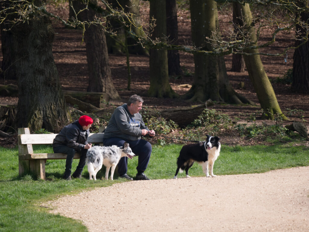 Dog walkers sat on a bench